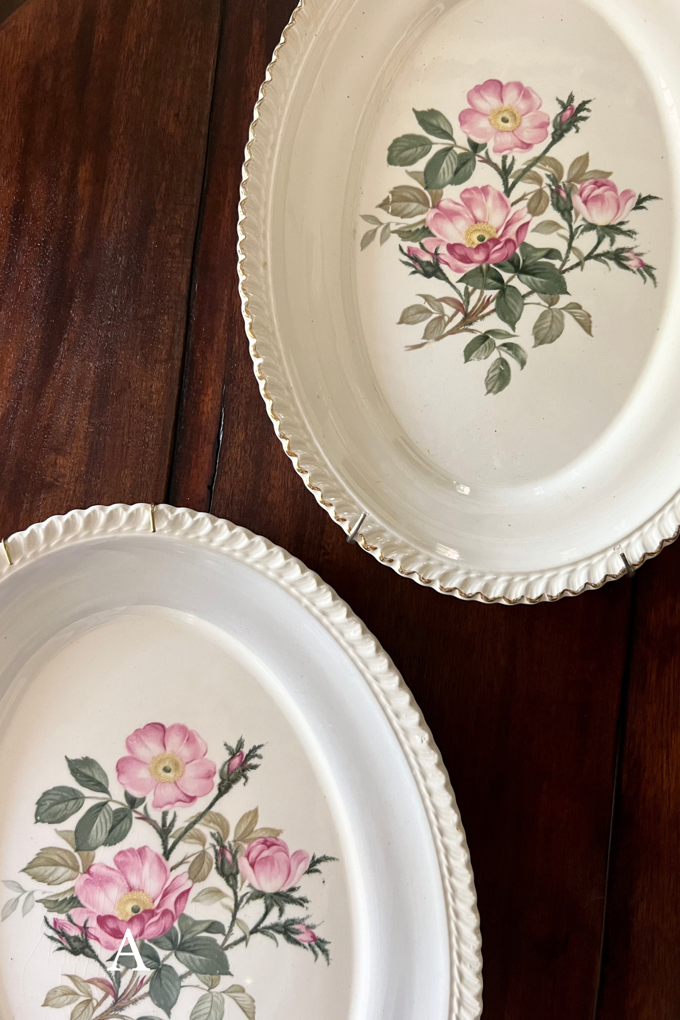 Vintage Wild Rose Plate Pair - Heirloomed