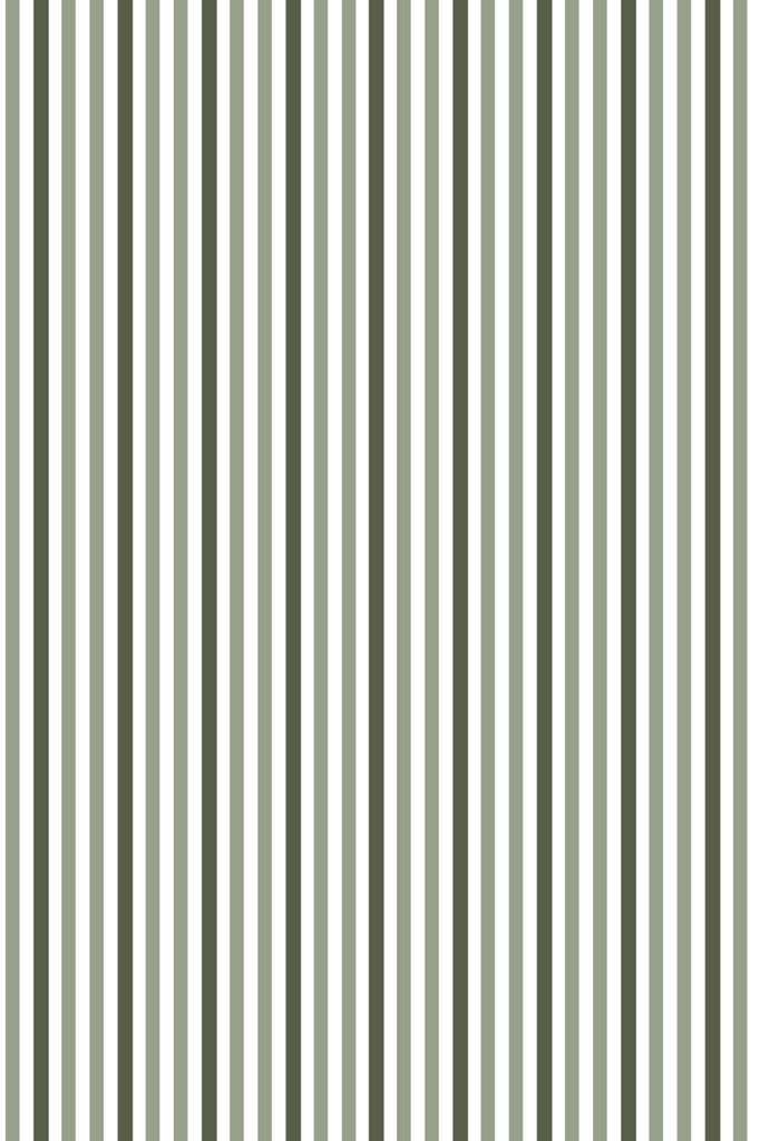 Designer Wallpaper - Two Tone Stripe in Green
