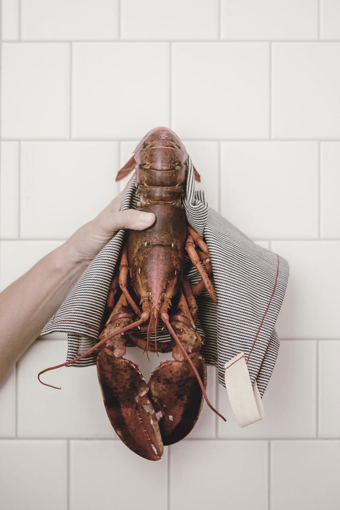 woman holding cooked lobster